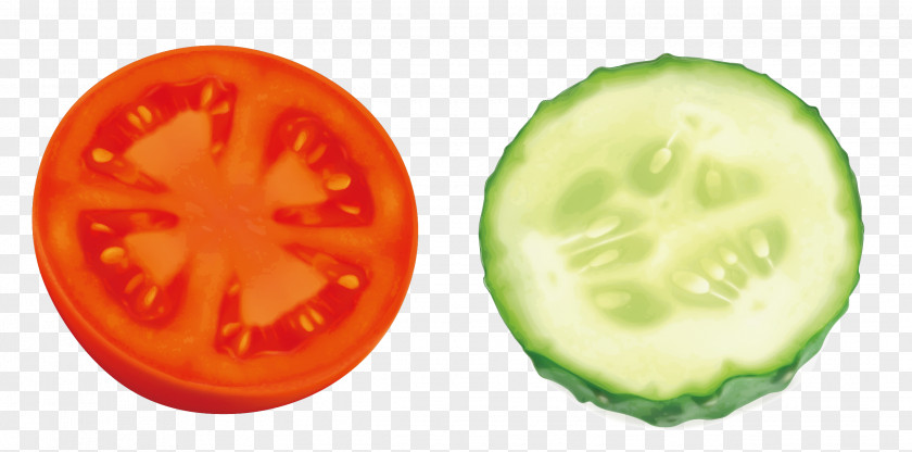 Tomatoes And Cucumbers Cucumber Tomato Vegetable PNG