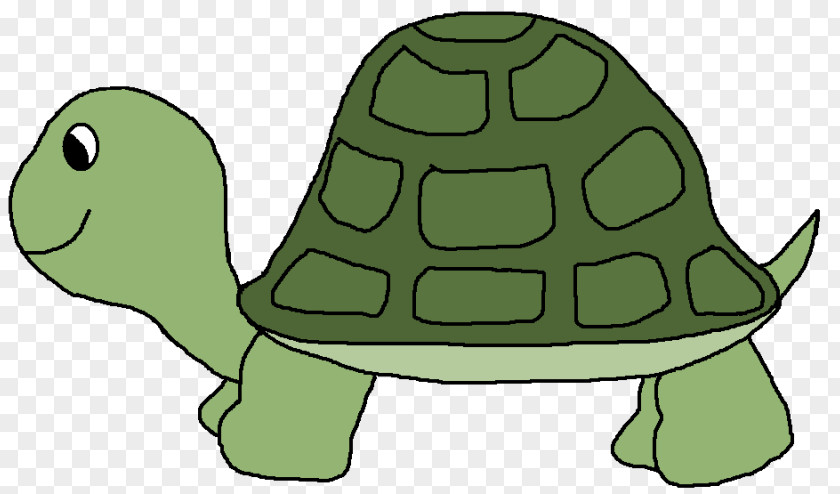 Turtle Clip Art Openclipart Vector Graphics Image PNG