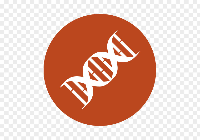 Biology Symbol DNA Clip Art PNG