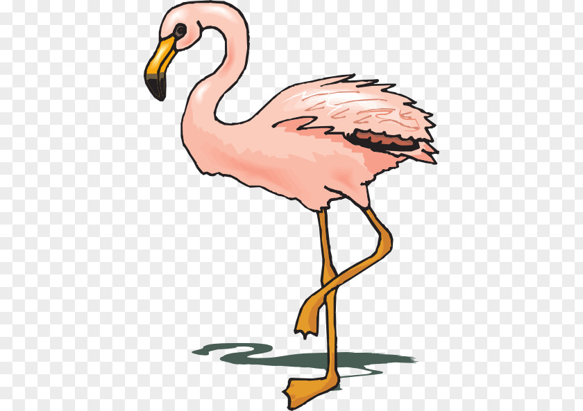 Flamingo Cliparts Free Content Clip Art PNG