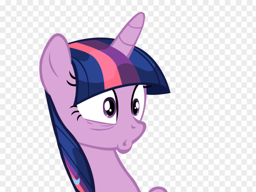 My Little Pony Pony: Equestria Girls Twilight Sparkle The Saga PNG