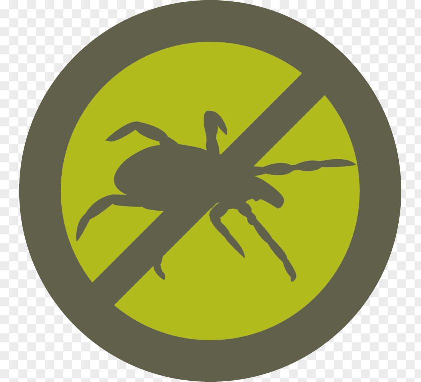 Deer Tick Lyme Disease Centers For Control And Prevention PNG