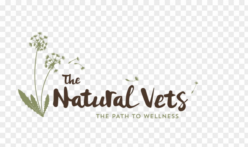 Dog The Natural Vets Veterinarian Holistic Veterinary Medicine PNG