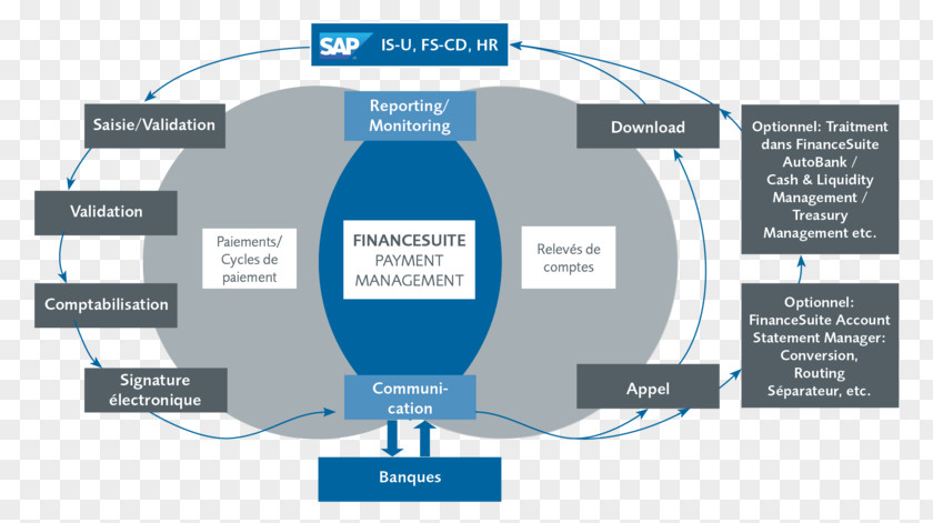 Financial Management Treasury Business Process Payment PNG