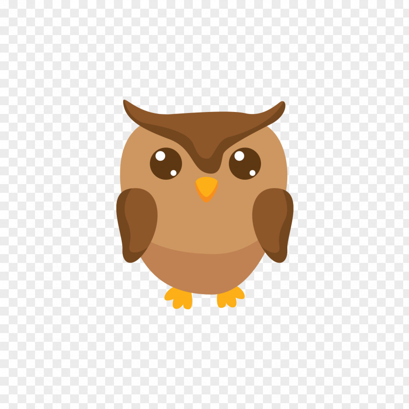 Gray Owl Cartoon Illustration PNG