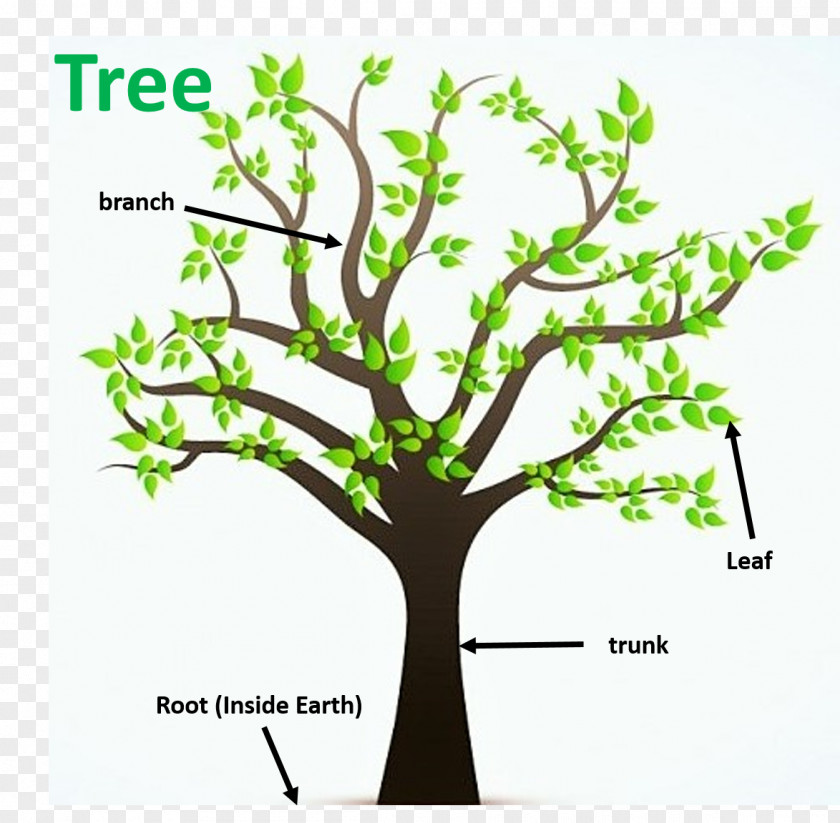 Root Tree Sales New York City Web Design Advertising PNG