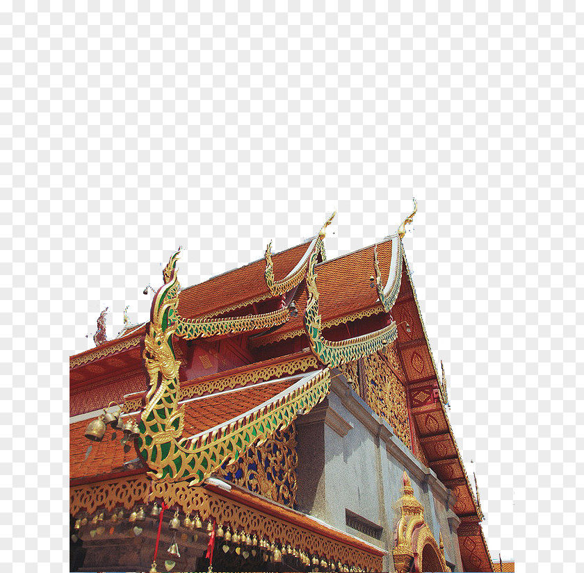 Thailand Chiang Mai Buddhist Temple Yang Shot Wat Phra That Doi Suthep Suan Dorg PNG