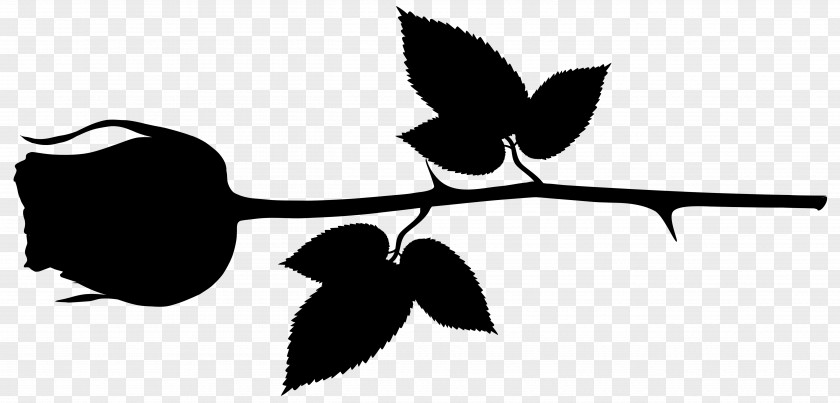 Clip Art Leaf Plant Stem Flower Silhouette PNG