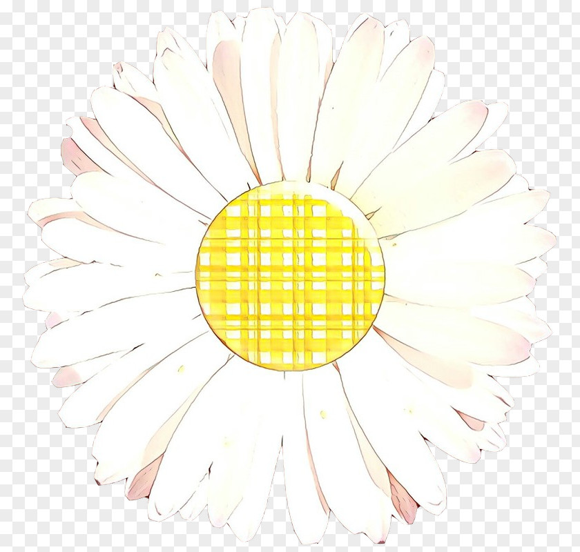 Flower Plant Daisy PNG