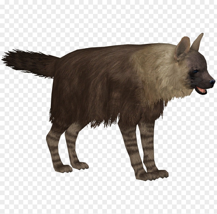 Hyena Zoo Tycoon 2 Striped African Wild Dog PNG