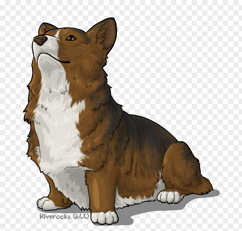 Pembroke Welsh Corgi Dog Breed Wales Razas Nativas Vulnerables PNG