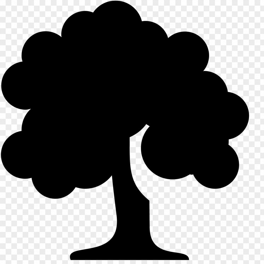 Tree Of Life PNG