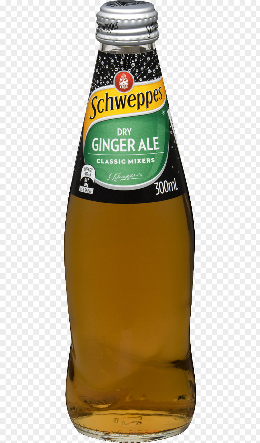 Beer Ginger Ale Fizzy Drinks Tonic Water Lemonade PNG