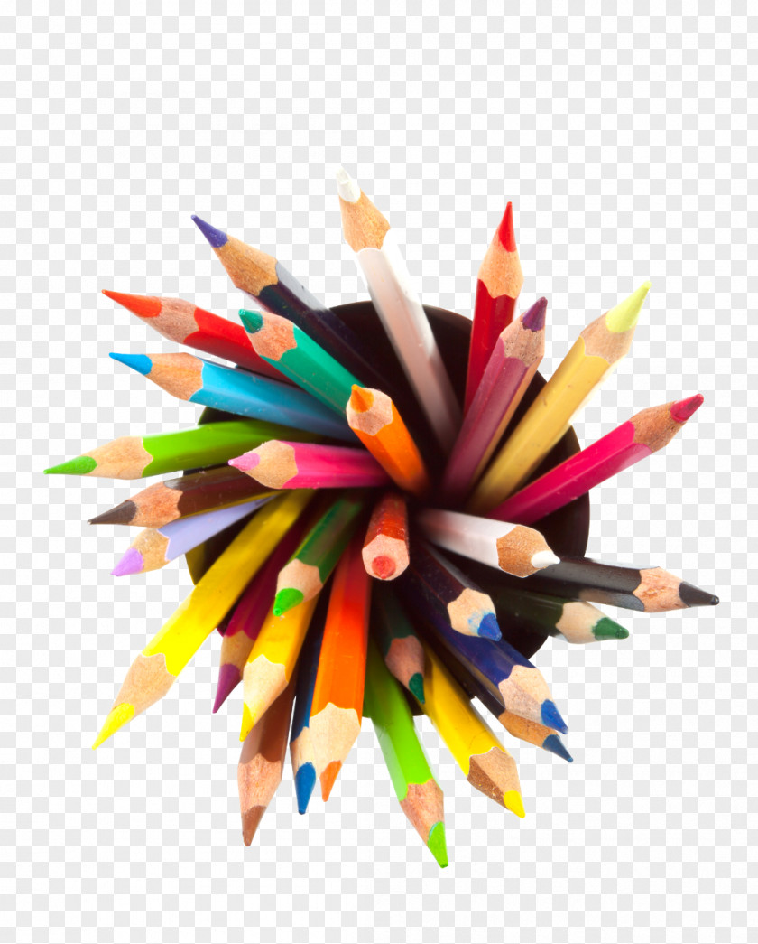 Colored Pencils Pencil Drawing Royalty-free PNG