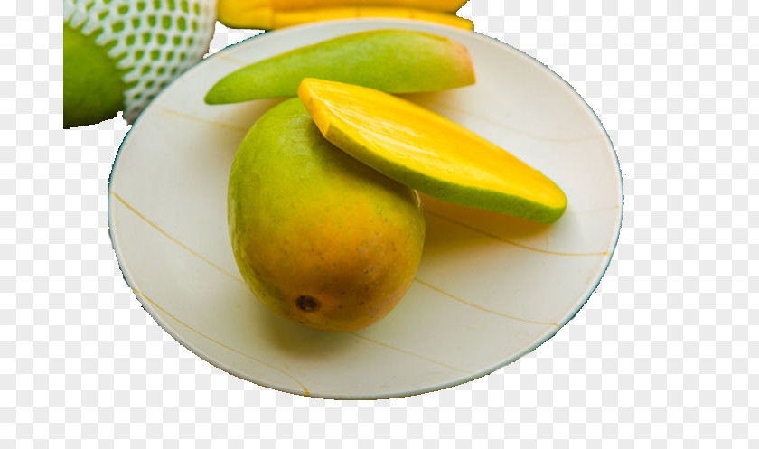 Honey Tamarind Fruit Auglis Vegetable PNG