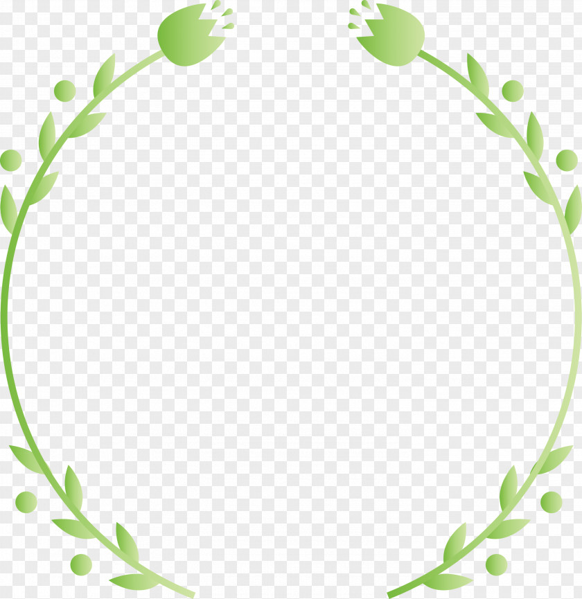 Leaf Plant Flower PNG