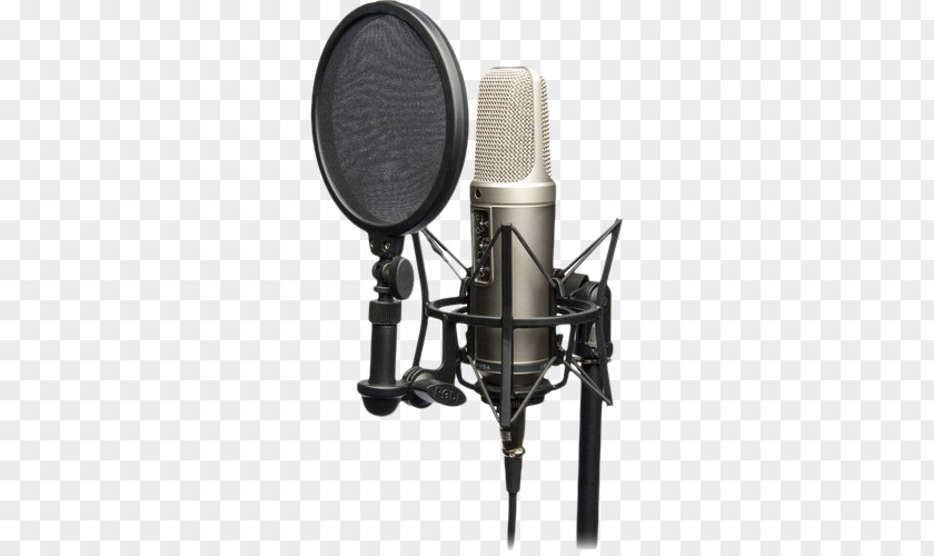 Microphone Røde Microphones RØDE NT2-A Recording Studio Shock Mount PNG