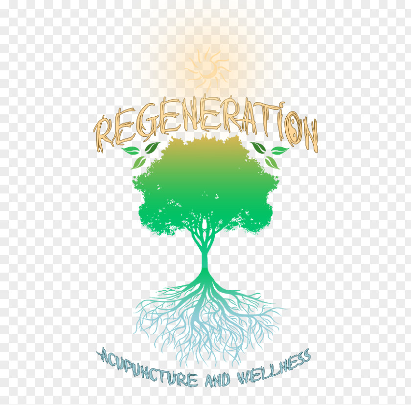 Problems Fraxel Laser Regeneration Acupuncture And Wellness, PLLC Tree Logo Clip Art Font PNG