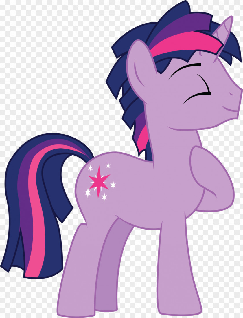 Twilight Sparkle Pinkie Pie Rainbow Dash Princess Cadance Rarity PNG