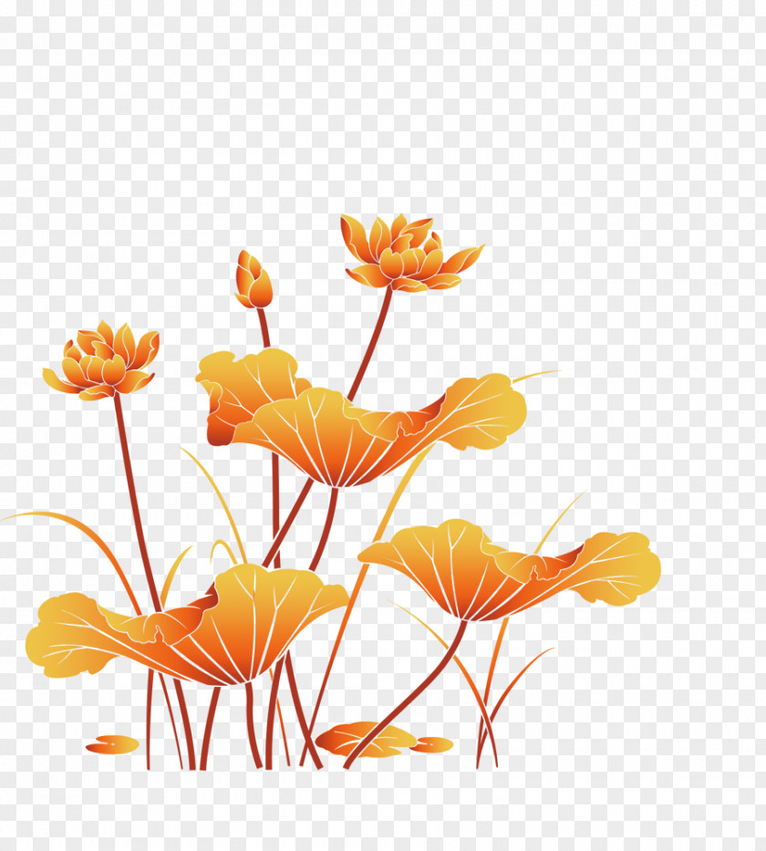 Yellow Plant Sacred Lotus Download Image Design PNG