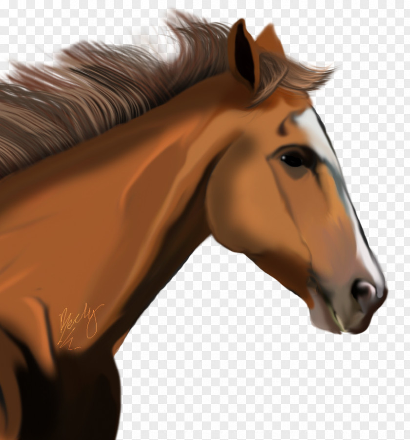 Horse Image American Miniature Clip Art PNG