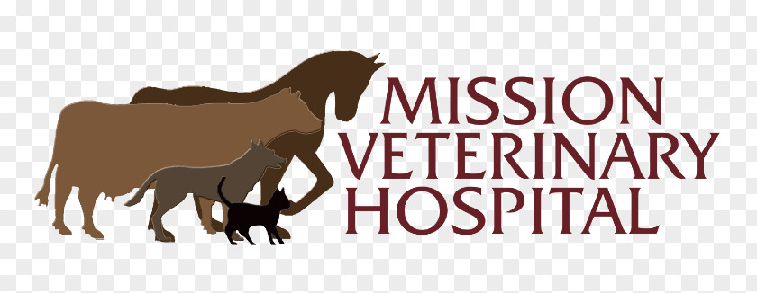Hospital Pharmacist Cattle Mission Veterinary Veterinarian Clinique Vétérinaire Horse PNG