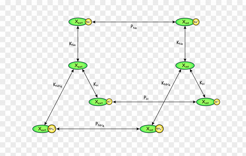 Line Point Angle Organism Product Design PNG