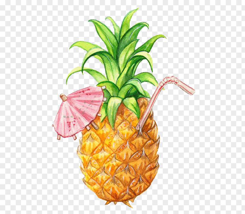 Pineapple Juice Smoothie Drawing Fruit PNG