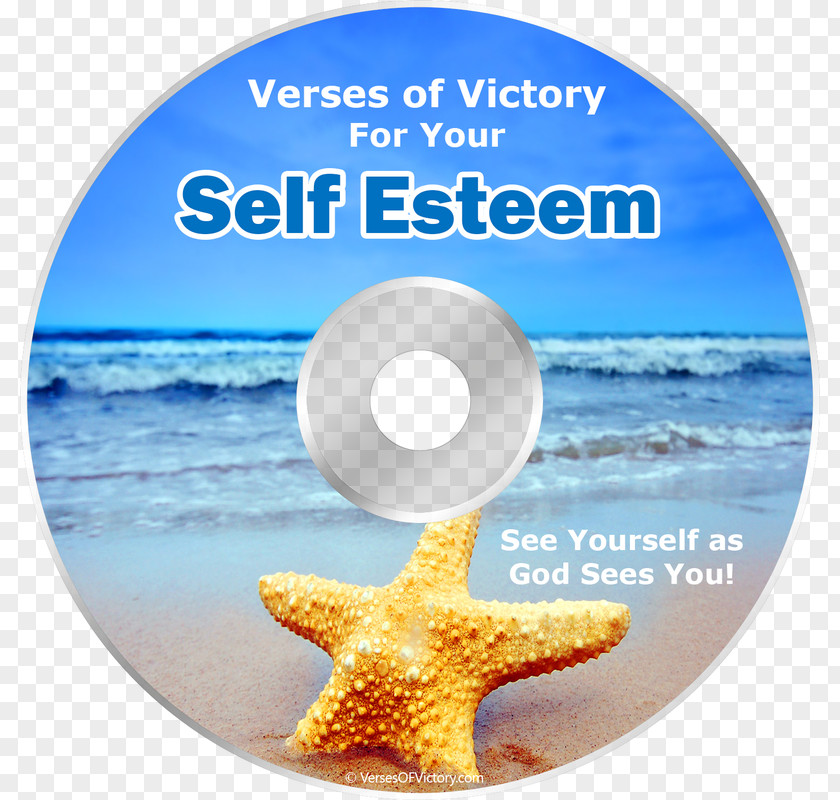 Self Esteem Chapters And Verses Of The Bible King James Version Self-esteem Respect PNG