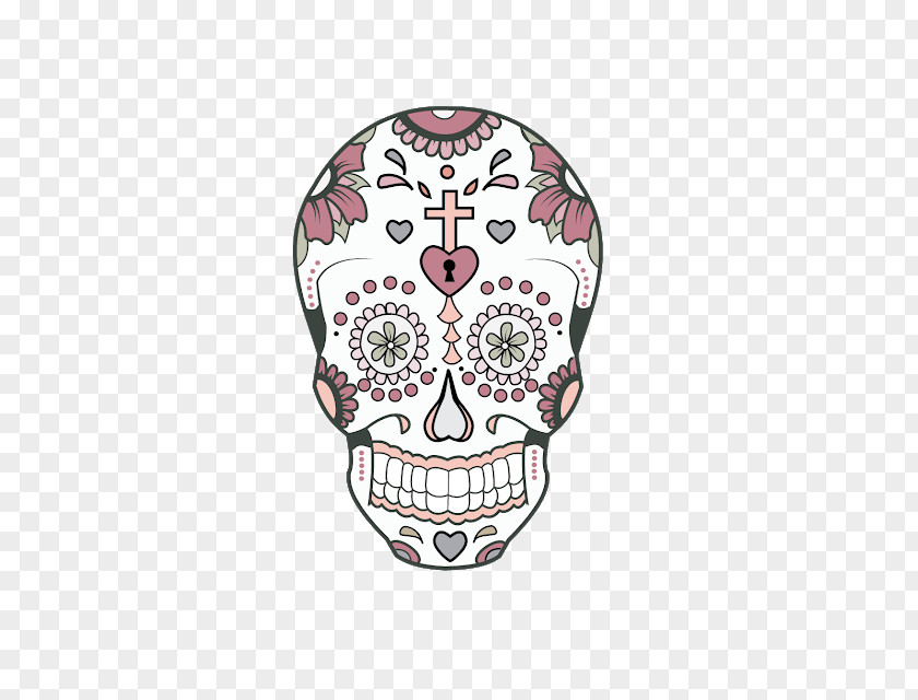 Skull Human Symbolism Drawing Bone Visual Arts PNG