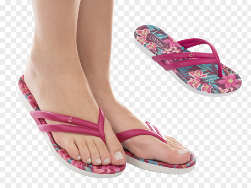 Aruba Slipper Flip-flops Grendha Ivete Sangalo Shoe PNG