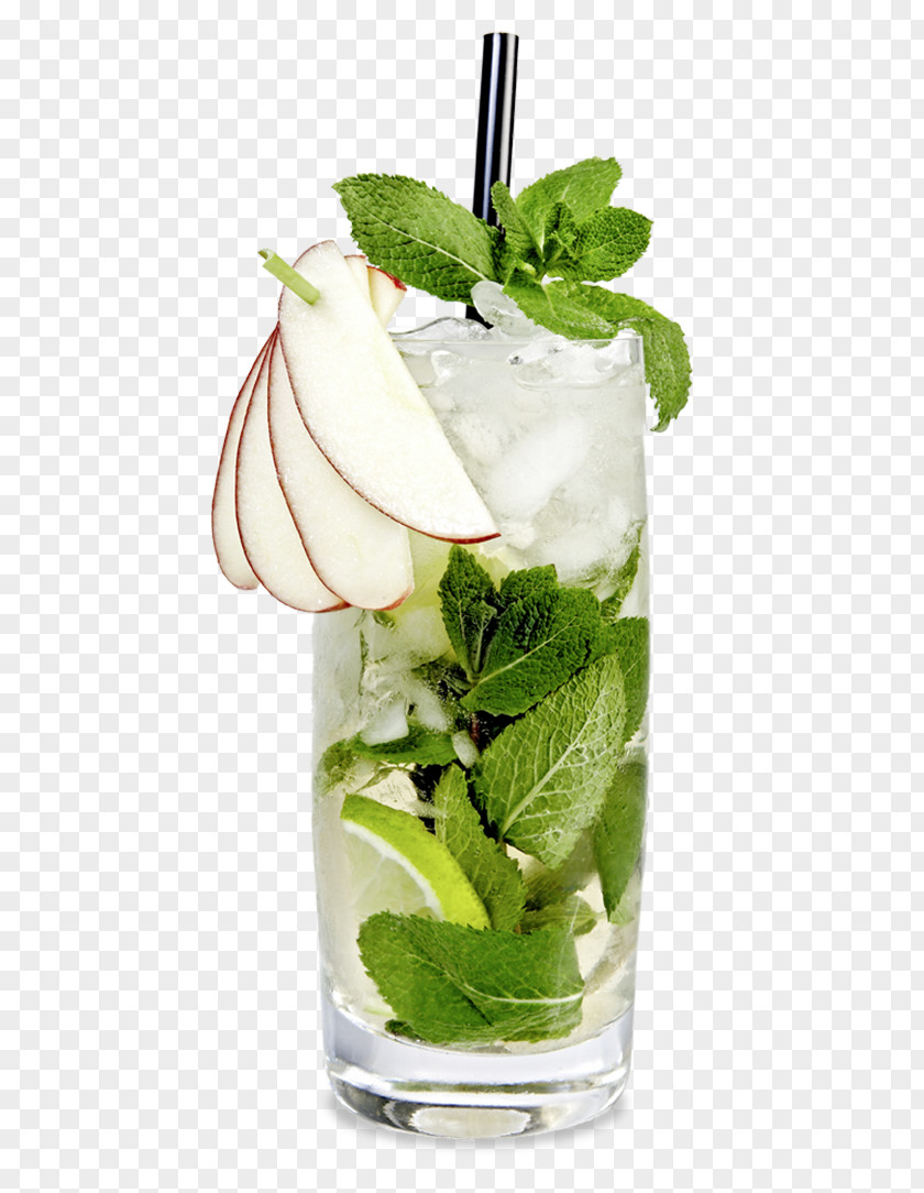 Big Apple Mojito Cocktail Garnish Mai Tai Rickey Mint Julep PNG