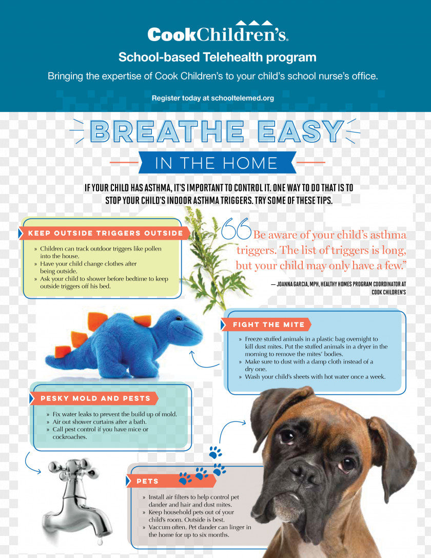 Dog Breed Indoor Air Quality Asthma UK Boxer PNG