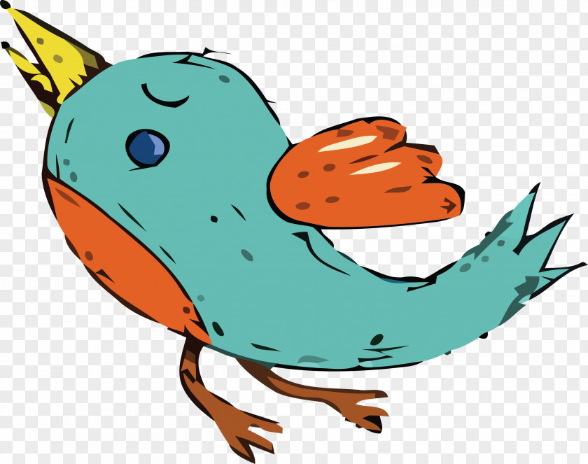 Landfowl Ducks Chicken Birds Water Bird PNG