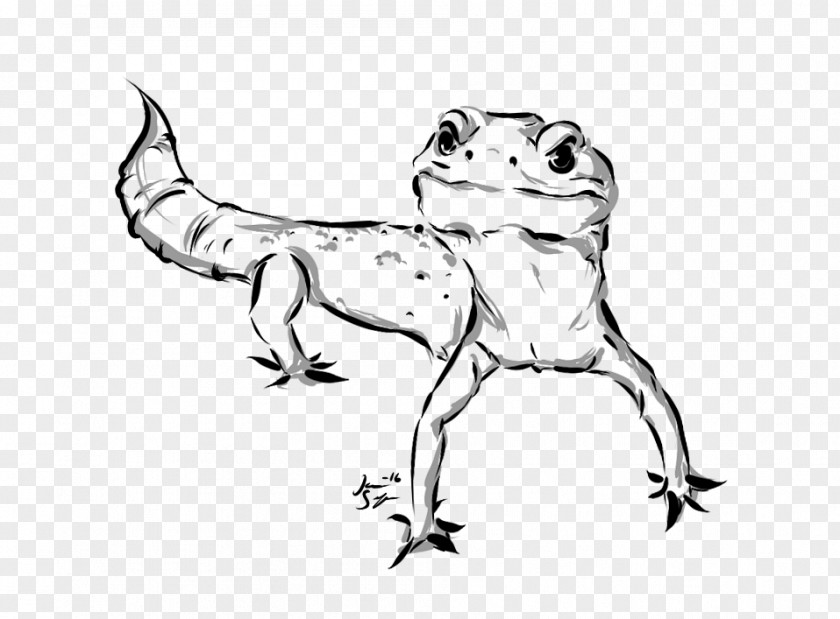 Lizard Toad Frog Line Art Sketch PNG