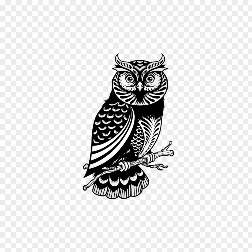 Owl Drawing Royalty-free Illustration PNG