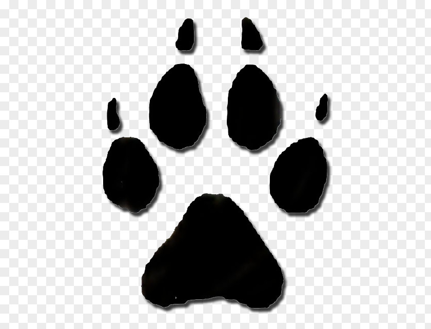 Raccoon Animal Track Footprint Clip Art PNG