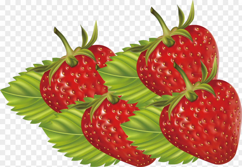 Strawberry Decorative Design, Exquisite Patterns Accessory Fruit Aedmaasikas PNG