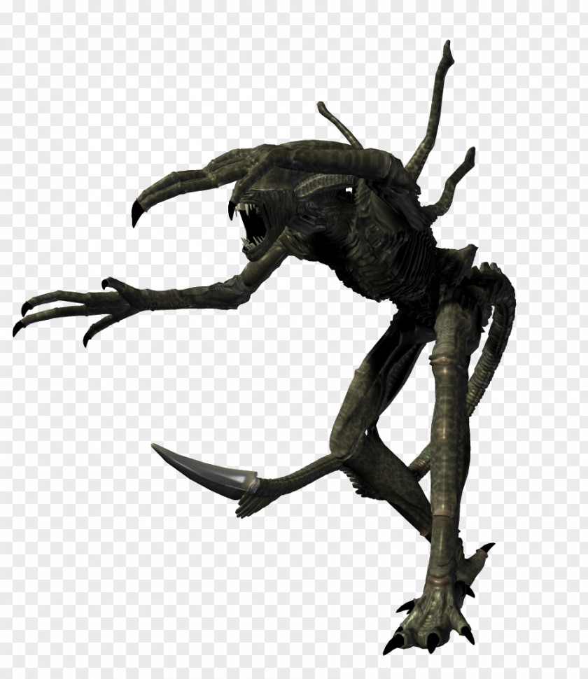 Alien Photo Shoot Photography Character PNG