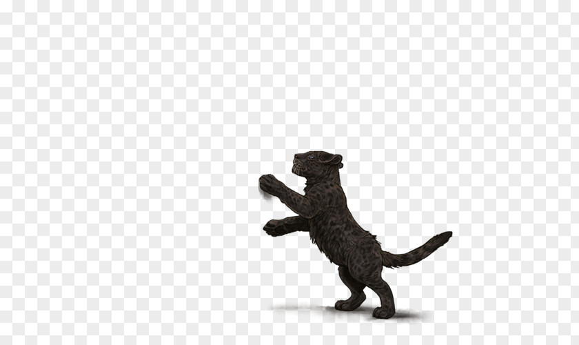 Black Panther Jaguar Lion Cheetah Puppy PNG