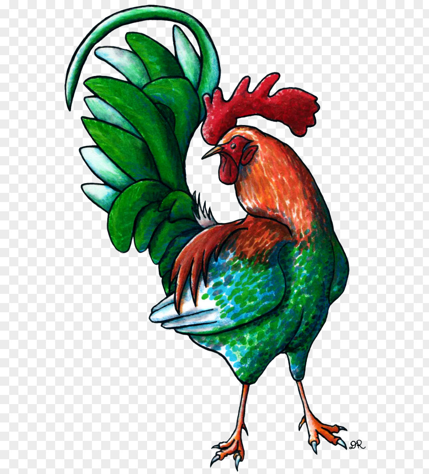 Drawings Of Roosters Rooster Drawing Art Clip PNG