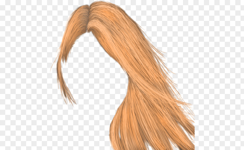 Hair Long Blond Capelli Coloring Brown PNG