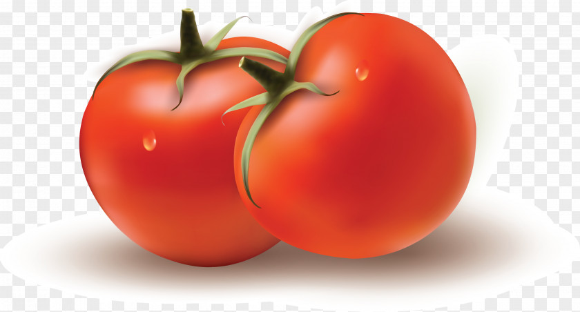 Tomato Plum Bush Vegetable PNG