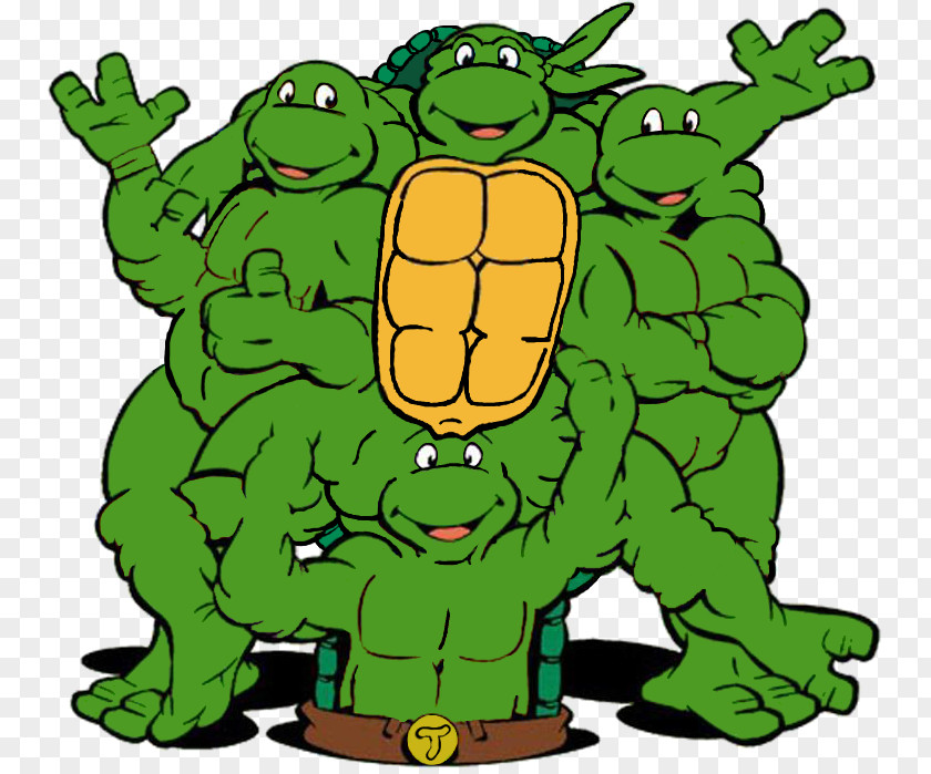 Hamato Yoshi Leonardo Michaelangelo Teenage Mutant Ninja Turtles Donatello PNG