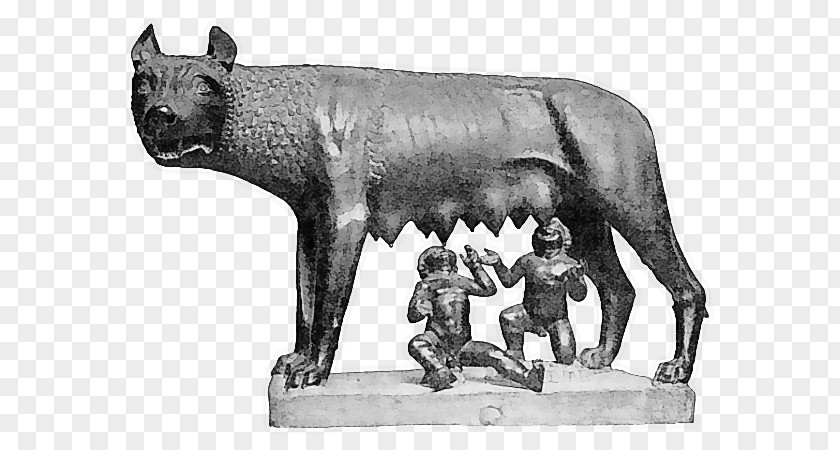 Roman Mythology Capitoline Wolf Museums Ancient Rome Palatine Hill Romulus PNG