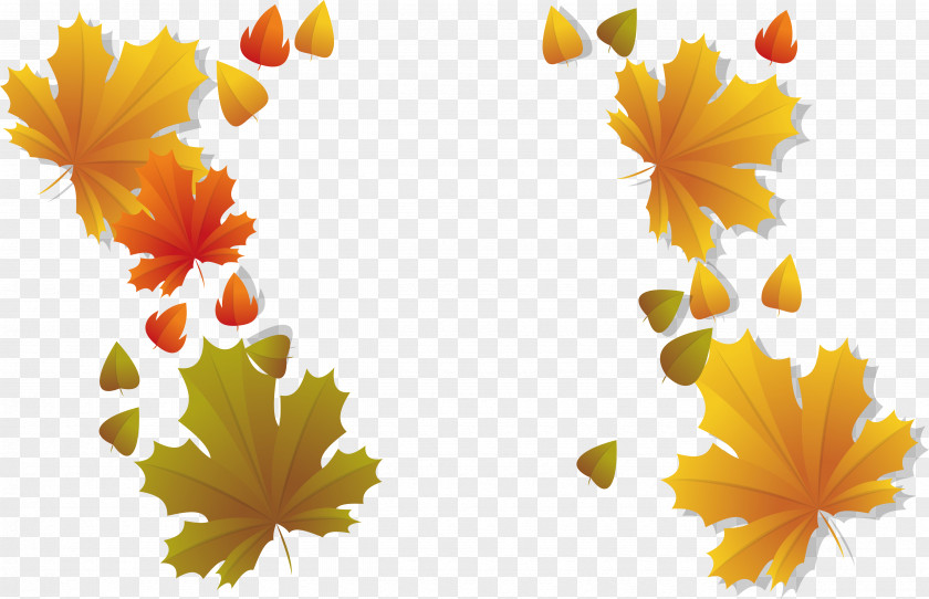 Romantic Maple Leaf Title Box PNG