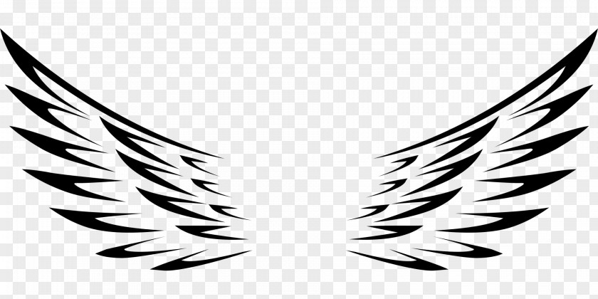 Wings AutoCAD DXF Clip Art PNG