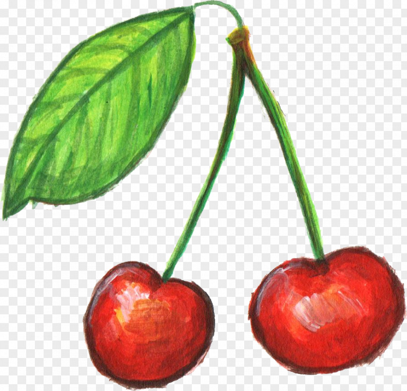 Cherry Food Accessory Fruit PNG
