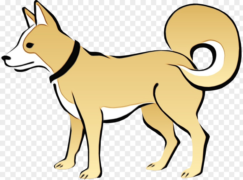 Dog Breed Canaan Line Art Clip Tail PNG