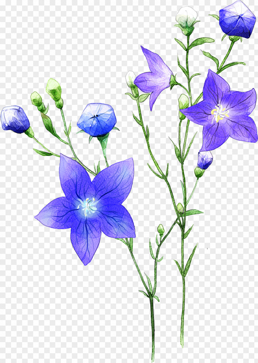 Flowers PNG Flowers,flowers,flowers clipart PNG